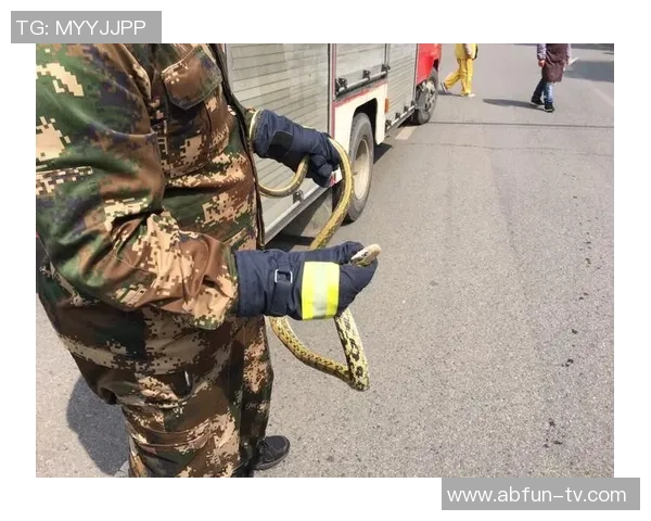 足球场上意外露鸟瞬间引发热议网友纷纷围观讨论趣事 足球场上意外露鸟瞬间引发热议网友纷纷围观讨论趣事