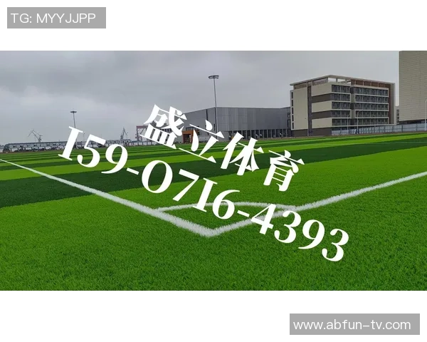 足球场假草价格分析及市场趋势探讨助您选择最佳方案 足球场假草价格分析及市场趋势探讨助您选择最佳方案
